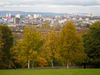 IMG_6412Rs_Glasgow_Queens_Park_Trees_Autumn.jpg