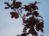 DSC_0016~0.jpg