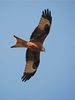 DSC_0410~0.jpg