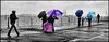 DSC09028__Les_Parapluies_De_Southampton_2_framed.jpg
