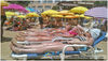 Heat_-_sunbathing.jpg