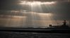 Bright_Start-9070a.jpg