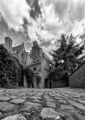 Click to view full size image