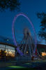 IMG_0886web.jpg
