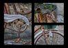 Bike-57988triptych_flickr.jpg