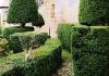 Chateau_Puymartin-Topiary-P1020101-CC.jpg
