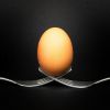 Eggsactly-P1010814-On1-CC.jpg