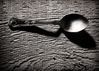 Woodnspoon_HWK58488_flickrb.jpg