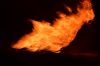 DSC_0502_Fire.jpg