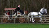 DSC_6992_Carriage.jpg