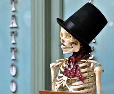 Click to view full size image