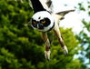 Take off