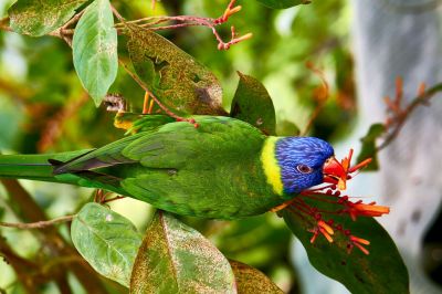 Click to view full size image