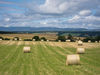 IMG_4467Rs_bales.jpg