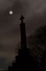 KS2_5637Rs_Supermoon_Maggie_Walls.jpg