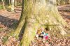 KS2_9859Rms_mouse_hole_tree_with_shoes.jpg