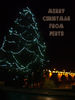 _IGP1945Rs_perth_christmas_tree.jpg