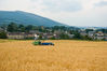 Filename=_IGP7787Rs_harvesting_crofts_field.jpg
Filesize=374KiB
Dimensions=1137x761
Date added=Sep 09, 2012 _IGP7787Rs_harvesting_crofts_field.jpg
