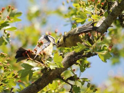 Click to view full size image