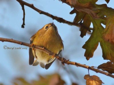 Click to view full size image