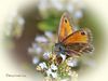 GateKeeper_DSC_0081.jpg
