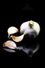 Garlic.jpg