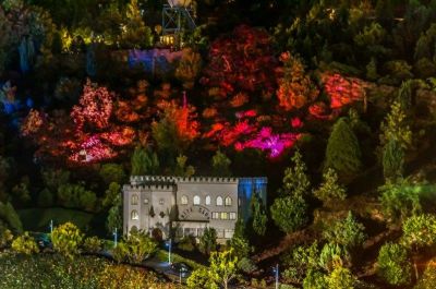 Click to view full size image