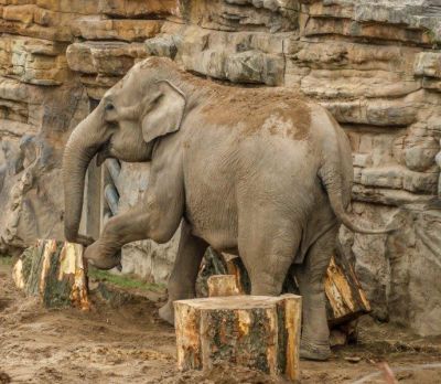 Click to view full size image