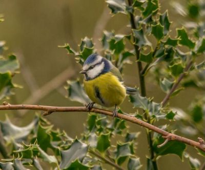 Click to view full size image