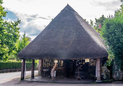 Click to view full size image