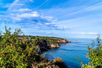 Click to view full size image