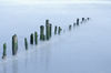 Sandsend_Groynes.jpg