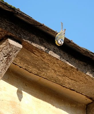 Click to view full size image