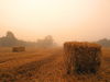 strawbale.jpg
