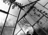 The_Greenhouse_28Large29.jpg