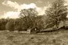 The_Old_Kirk_Sepia_28Large29.jpg