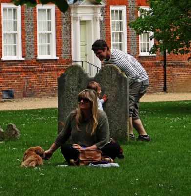 Click to view full size image