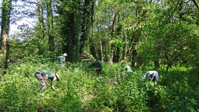 Click to view full size image