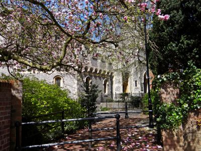 Click to view full size image