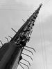DSC01295__Mast.jpg
