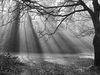 Soft_light2C_soft_contours_BW_ol26_res-1.jpg