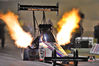 Antron-Brown-Top-Fuel-Dragster-NHRA.jpg
