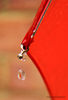 Red_Umbrella.jpg
