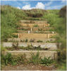 steps_1024_1.jpg
