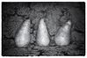 Pears_2.jpg