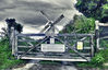 Windmill_3.jpg