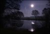 Moonlit_Lake.jpg