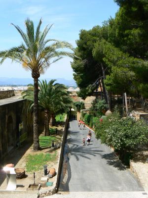 Click to view full size image