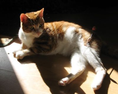 Click to view full size image