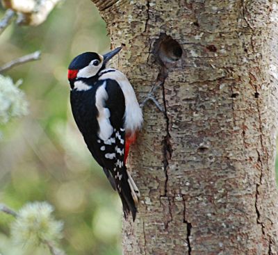 Click to view full size image